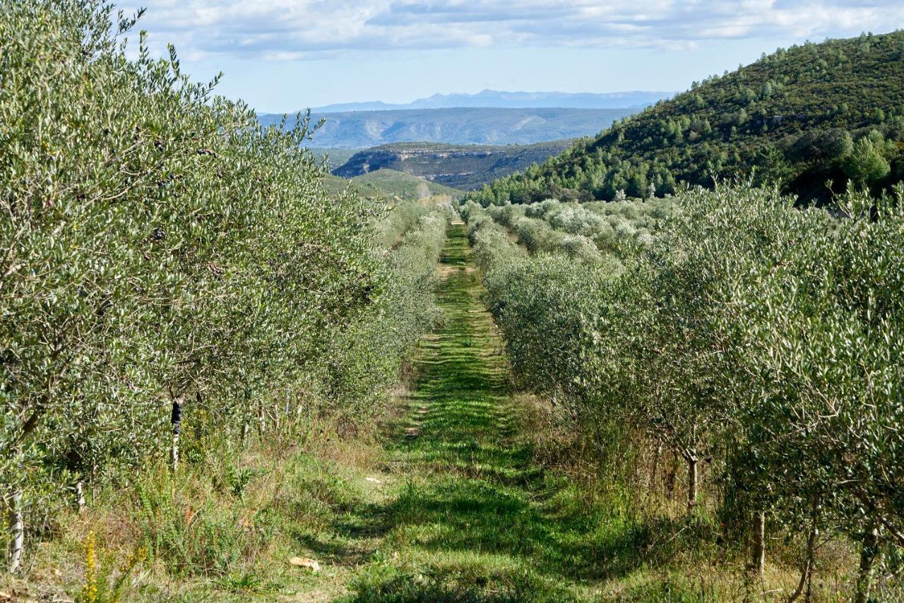 Finca Heredad La Boquilla Enguera Экстерьер фото